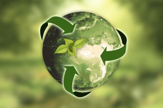 Was bedeuten die wichtigsten Fachbegriffe zur Nachhaltigkeit? Best-of-Class