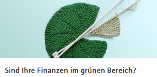 Einnahmen/Ausgaben, Wünsche: wie viel Geld braucht es zur Erfüllung der Wünsche?