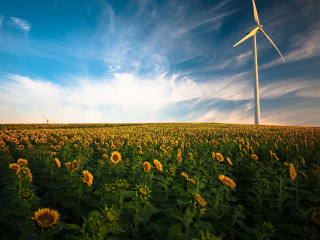 Nachhaltige Kapitalanlage mit erneuerbarer Energie