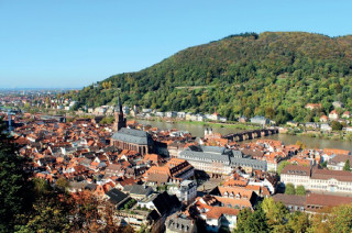 Immobilienangebote in Heidelberg und Alsbach-Hähnlein – jetzt anfragen! 🏡