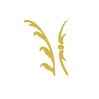 Profilfoto von Ilber Neziri