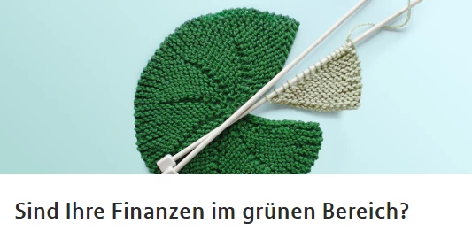 Einnahmen/Ausgaben, Wünsche: wie viel Geld braucht es zur Erfüllung der Wünsche?