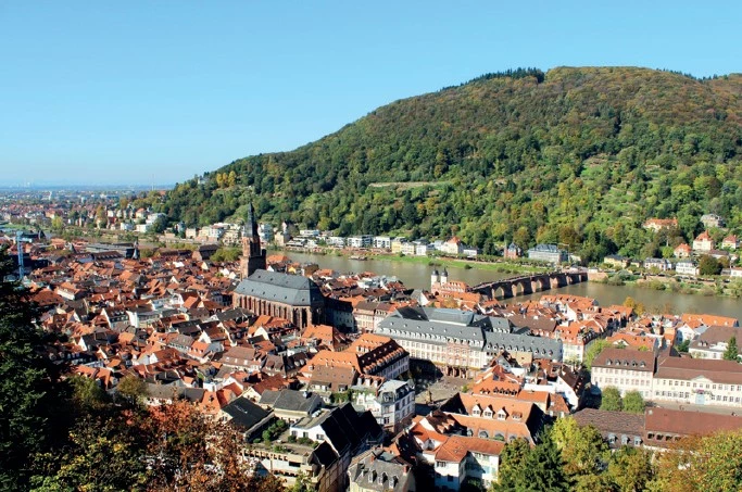 Immobilienangebote in Heidelberg und Alsbach-Hähnlein – jetzt anfragen! 🏡