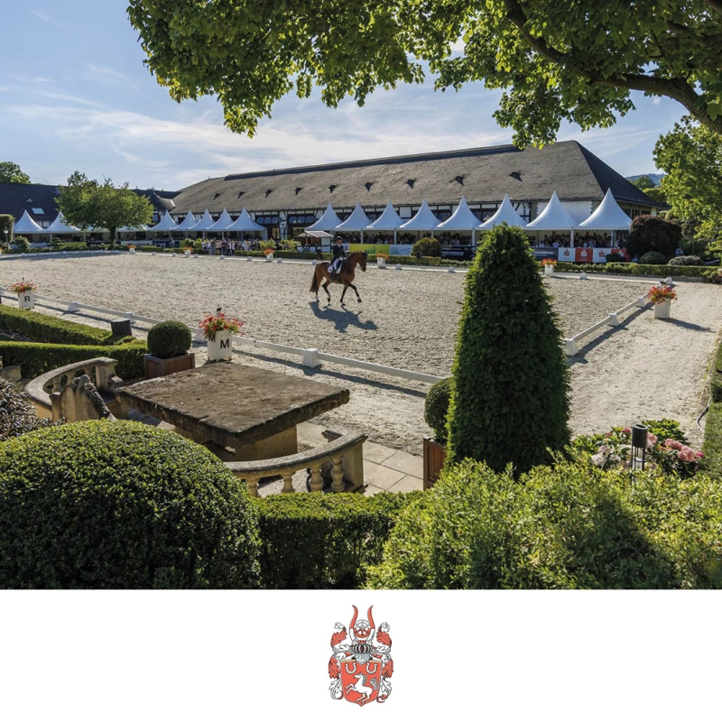 Veranstaltungstipp der Region: Schafhofs Dressurfestival 21. – 23. Juni 2024