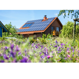 Umweltbewusst renovieren - Mit günstigen Kreditangeboten zur nachhaltigen Modernisierung