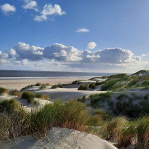 Auszeit 2024, bereits geplant