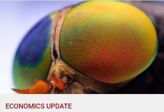 Marktausblick November 2024 - Eine zweite Trump-Präsidentschaft bietet Chancen für Europa