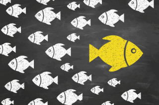 Was unterscheidet einen Honorarberater von einem provisionsbasierten Vermittler?