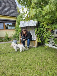 Hundehaftpflicht , so arbeitet man doch wirklich gern ;)