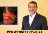 Rüdiger Schmidtchen